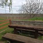 Apartman Sklep U Petra Velké Bílovice