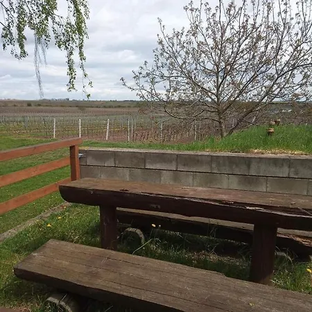 Apartament Sklep U Petra Velké Bílovice